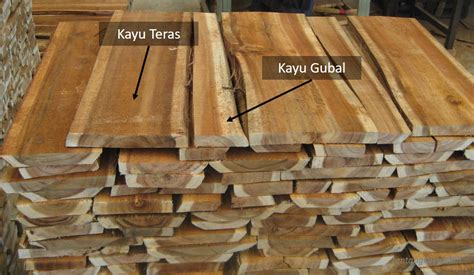 kayu gubal dan kayu teras